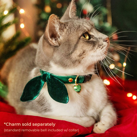 Cat Collar and Bunny Ear Bow Set - Velvet - Hunter Green - Dark Green Velvet Cat Collar w Matching Bunny Bow Tie Christmas, Holiday, Wedding and Birth